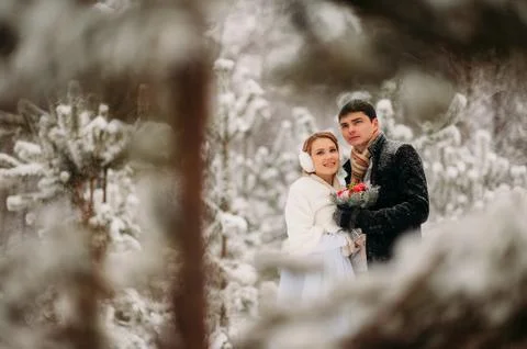 Couple in a pine forest Stock Photos