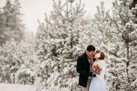 Couple in a pine forest Stock Photos