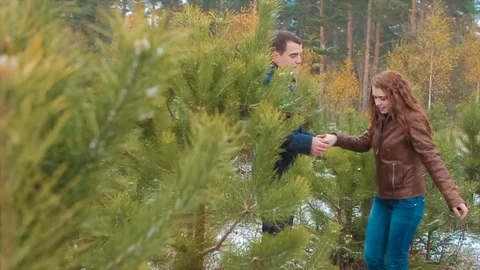 Couple in Pine Forest in Winter Having Fun Stock Footage 71616583