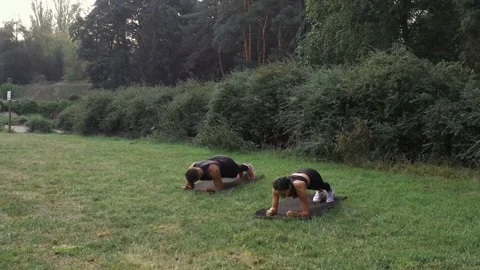 Couple plank exercise aerial view. Man and woman doing plank training Stock Footage 141056589