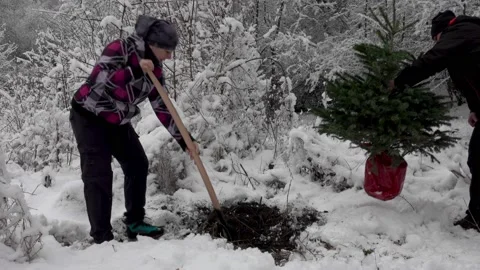Couple planting a new tree Stock-Footage 170305445