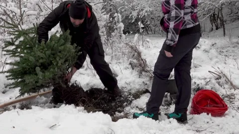 Couple planting a new tree 動画素材 170305604