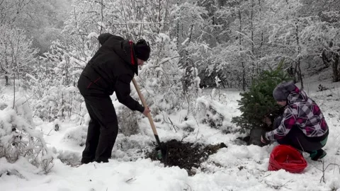 Couple planting a new tree Stock Footage 220736183