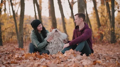 Couple playing with dog. Stock Footage 164664875