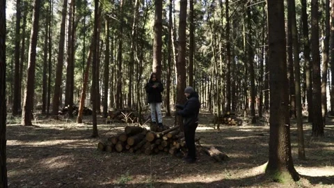 Couple preparing campsite surrounded by tall trees. Stock Footage 308224502
