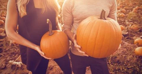 Couple at the pumpkin patch Stock Photos
