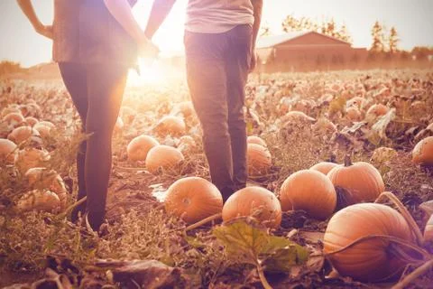 Couple at the pumpkin patch Stock Photos