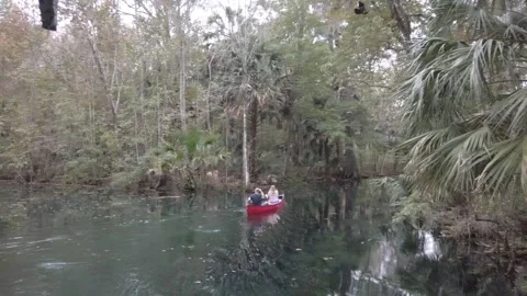 Couple in red canoe Pan left to right with water trees at Silver Springs Stock Footage 256047346