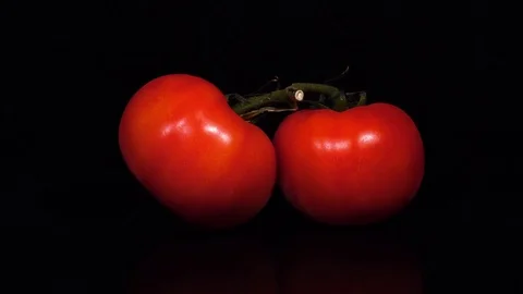 Couple of red tomatoes on the vine, rotating on black background to the right Stock Footage 74951168