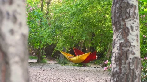 A couple relaxed in hammocks attached to trees. Spain. 動画素材 217415008