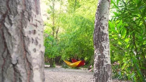 A couple relaxed in hammocks attached to trees. At a distance. Stock Footage 217415061