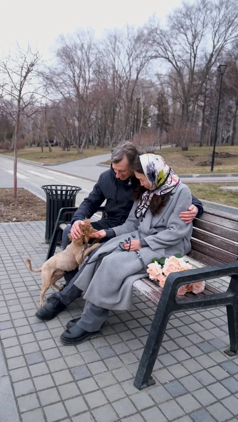 Couple relaxing on a bench during a walk in the park. A loving couple walks Stock Footage 308631961