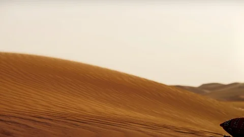 Couple relaxing on desert. Stock Footage 119389030