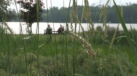 Couple relaxing lakeside Stock Footage 12727082