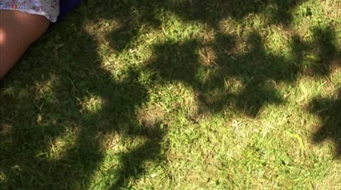 Couple resting in a park Stock Footage 11306942
