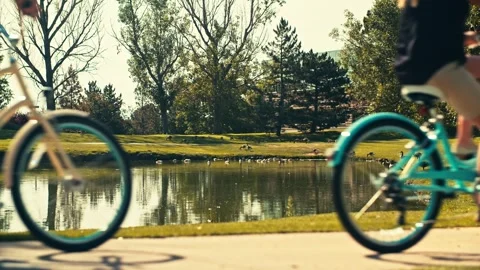 Couple Rides Bikes on Path in front of Geese on a lake out of focus Stock Footage 280705402