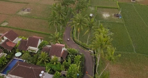 Couple rides on a road between palms Video stock 124621805