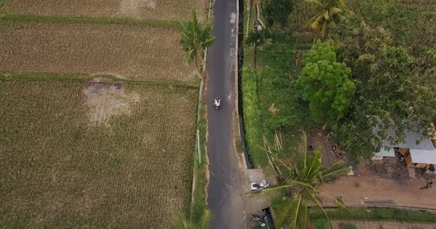 Couple rides on a road between palms Video stock 124647554