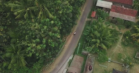 Couple rides on a road between palms, houses and green rice fields Video stock 124864611