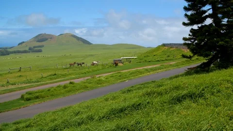 Couple Riding Bikes Past Fields at a Ranch in Hawaii Video stock 92886390