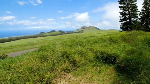 Couple Riding Bikes Past Fields at a Ranch in Hawaii Video stock 92886560