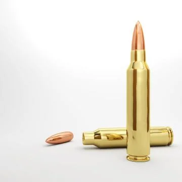 Couple of Rifle Bullets Stock Illustration