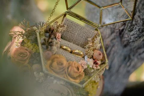 The couple rings 스톡 사진