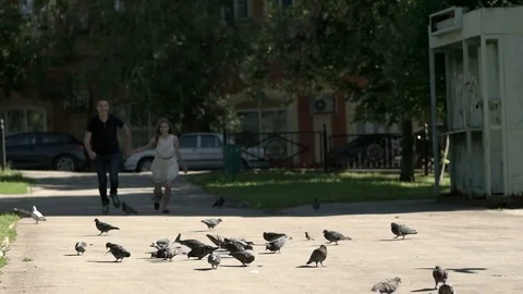 Couple run hand in hand and scare pigeons Stock Footage 77930248
