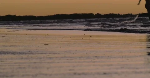 Couple run through waves at sunset Stock Footage 80454524
