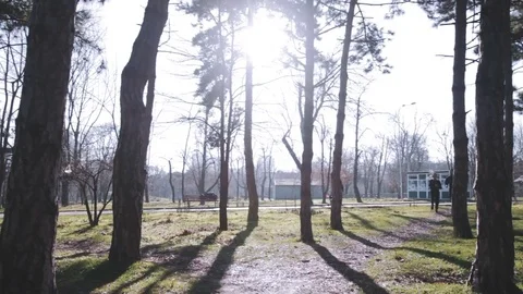 Couple of runners in park Stock Footage 85239032