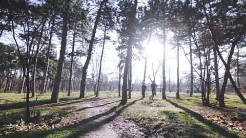 Couple of runners in park Stock Footage 85239063