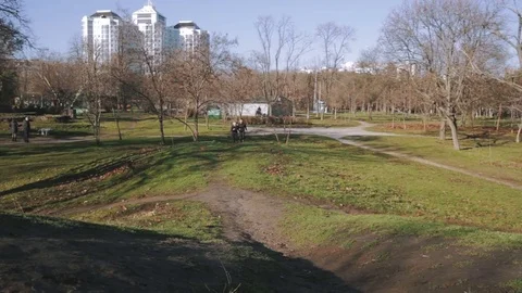 Couple of runners in park Vídeo Stock 85239116