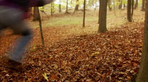 A couple running and playing in a forest during autumn Stock Footage 11331226