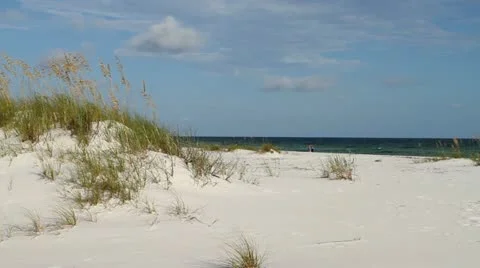 Couple Running On Beach Stock Footage 11809175