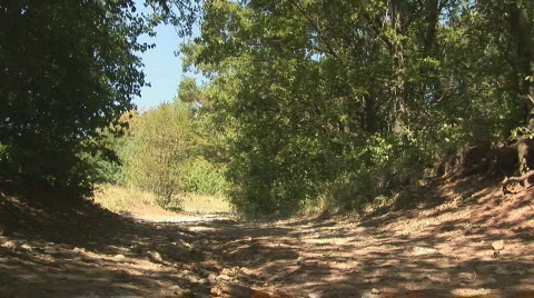 Couple running from camera Stock Footage 90524