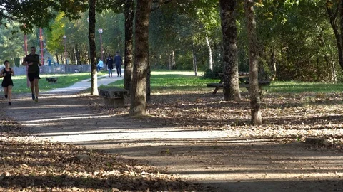 Couple running in park Stock Footage 117920378