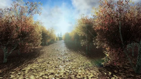 Couple running throw the forrest,sun shine Stock Footage 70596033