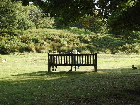 Couple sat on a bench Stock Photos
