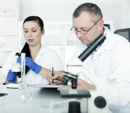Couple of scientists at work in a laboratory Stock Photos