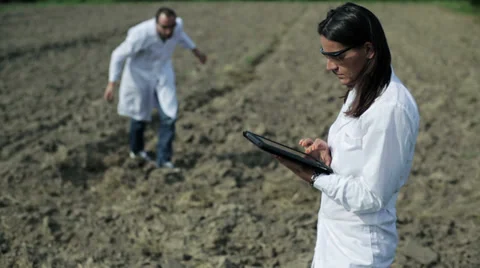 Couple of scientists working with tablet in the field Stock Footage 33911109