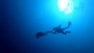 Couple Scuba Diving, Silhouetted Against Sun Stock Footage