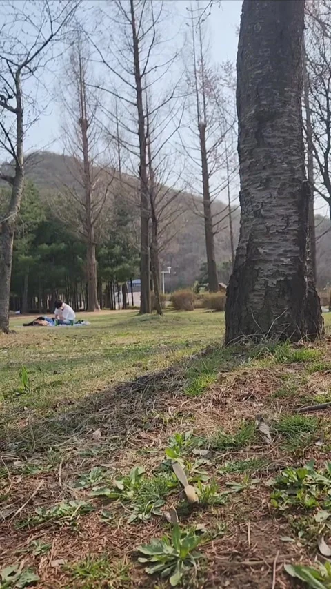 Couple in a secluded park Stock-Footage 306057203
