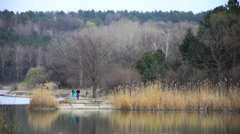 A couple of senior citizens walking on the path through the woods by the lake. Stock Footage 62481701