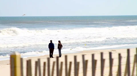 Couple by Shore HD Stock Footage 3495491