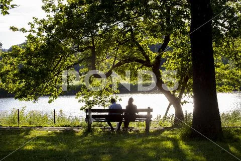 Photograph: A couple silhouette sitting romantically on a park bench ...