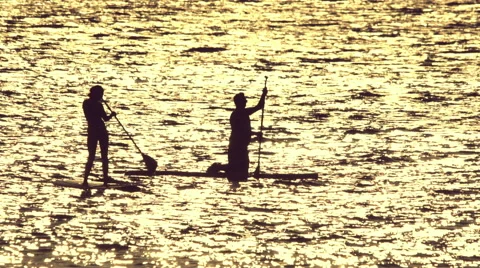 Couple silhouetted doing stand up paddle in the open sea at sunset 100p Stock Footage 66522392