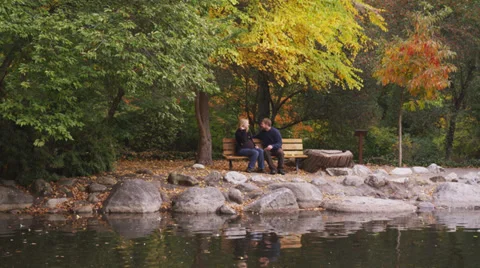 Couple Sit on Bench in Park Stock Footage 35222156