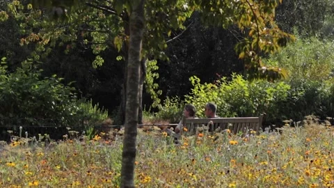 A couple sit on a bench surrounded by flowers Stock Footage 292911414
