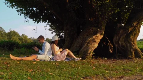 The couple sits under a large and old tree back to back and use a smartphone Stock Footage 116326812