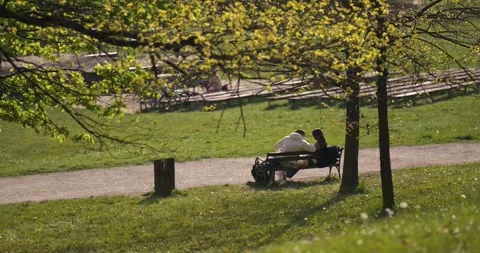 Couple sitting on bench in park 스톡 동영상 332511609
